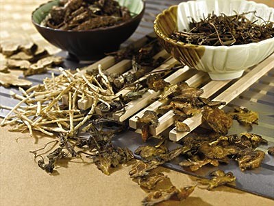 中医药治疗白血病