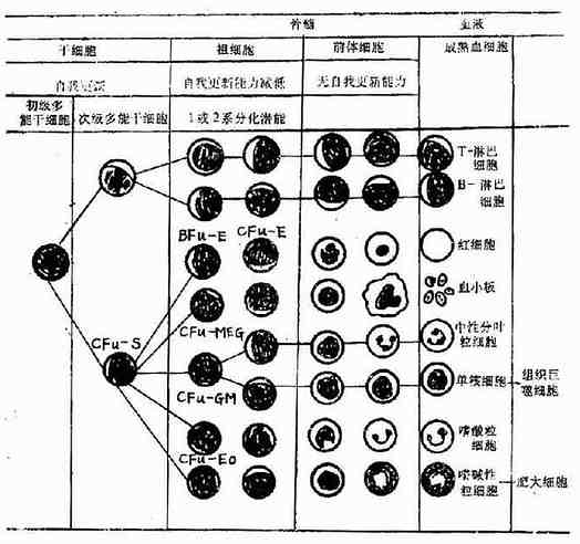 xueyebingxue001.jpg