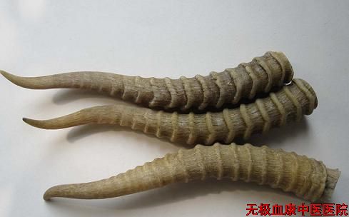 羚羊角