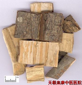 苦楝皮