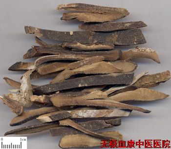 橘红