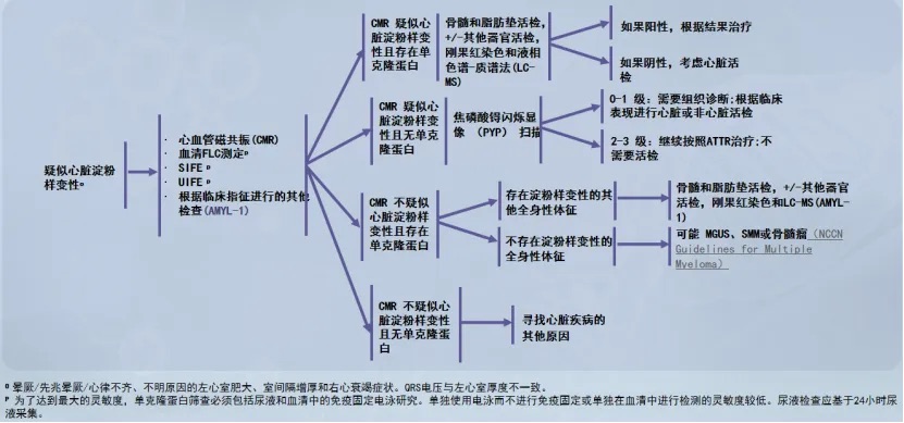 王小钦教授：2024版NCCN系统性轻链