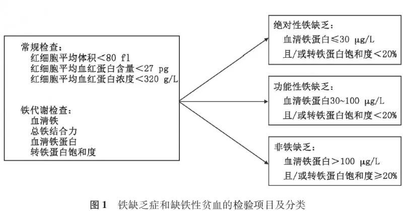 铁缺乏和缺铁性贫血的诊断和治疗
